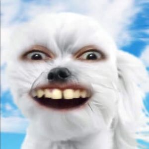 Meet your Posher, Ismael